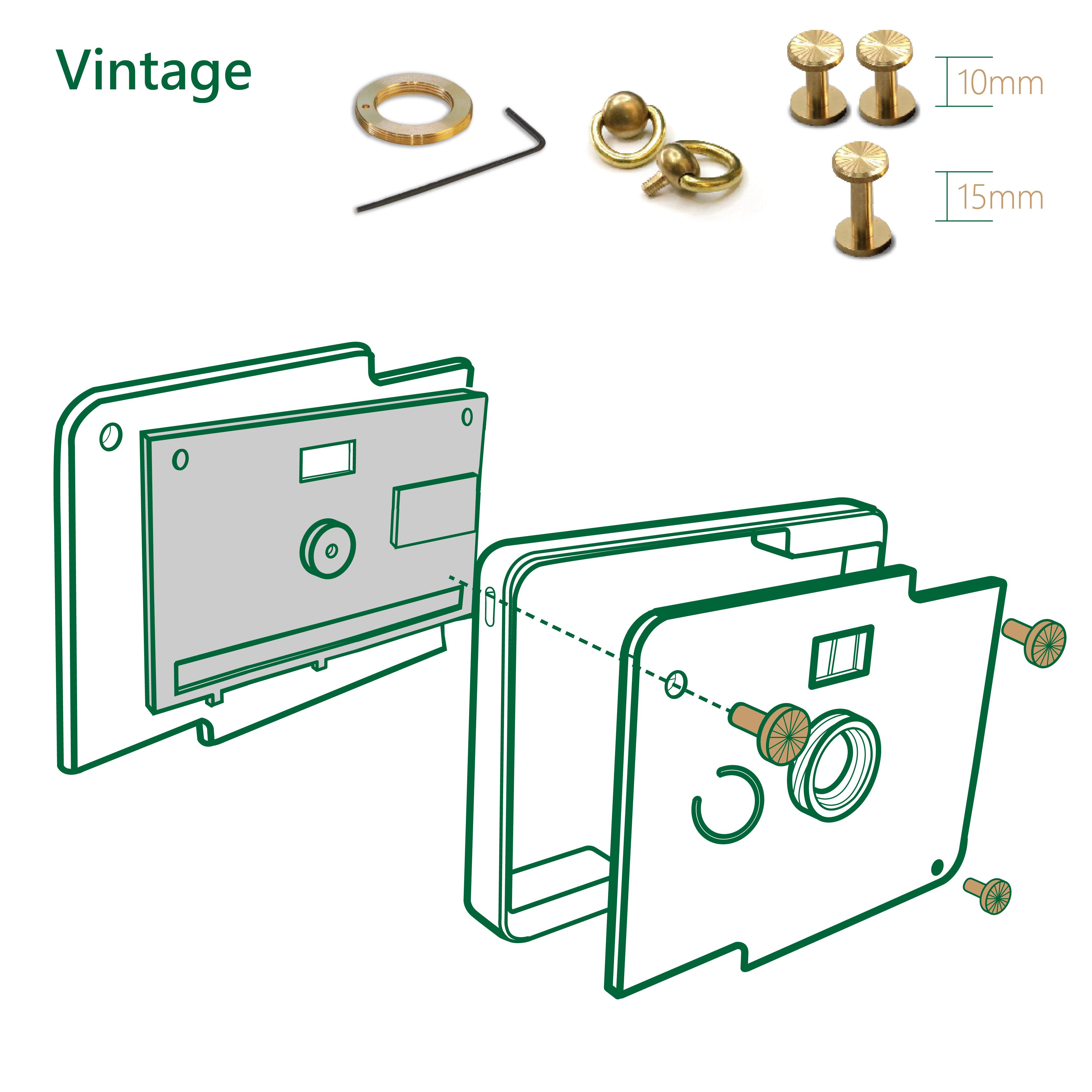 Brass Screws Set